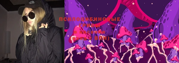 PSILOCYBIN Заволжье