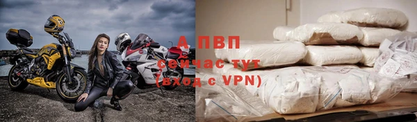 PSILOCYBIN Заволжье