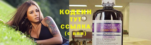 сатива Зерноград