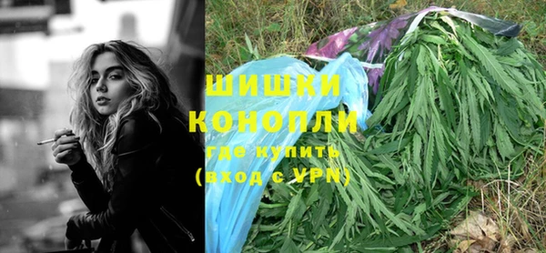 PSILOCYBIN Заволжье