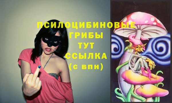 МДПВ Заводоуковск