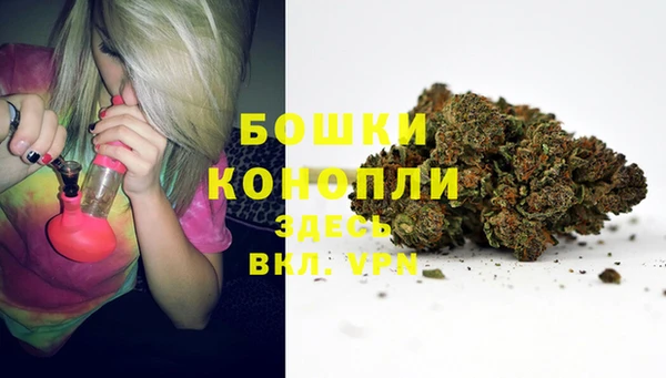 амф Зеленодольск