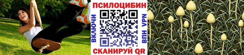 Купить  Дмитровск  Галлюциногенные грибы прущие грибы 
